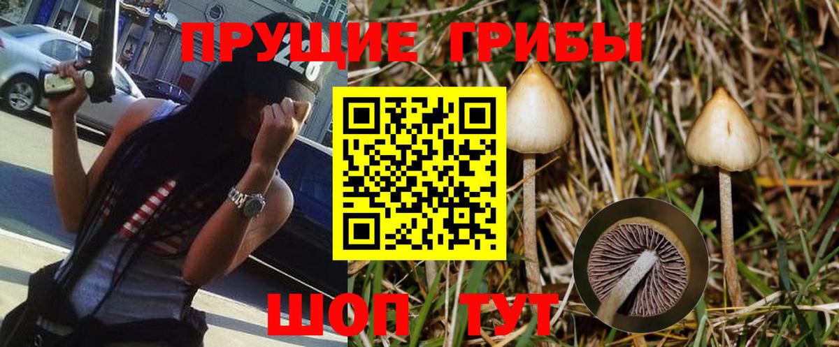 Псилоцибиновые грибы мухоморы Невинномысск