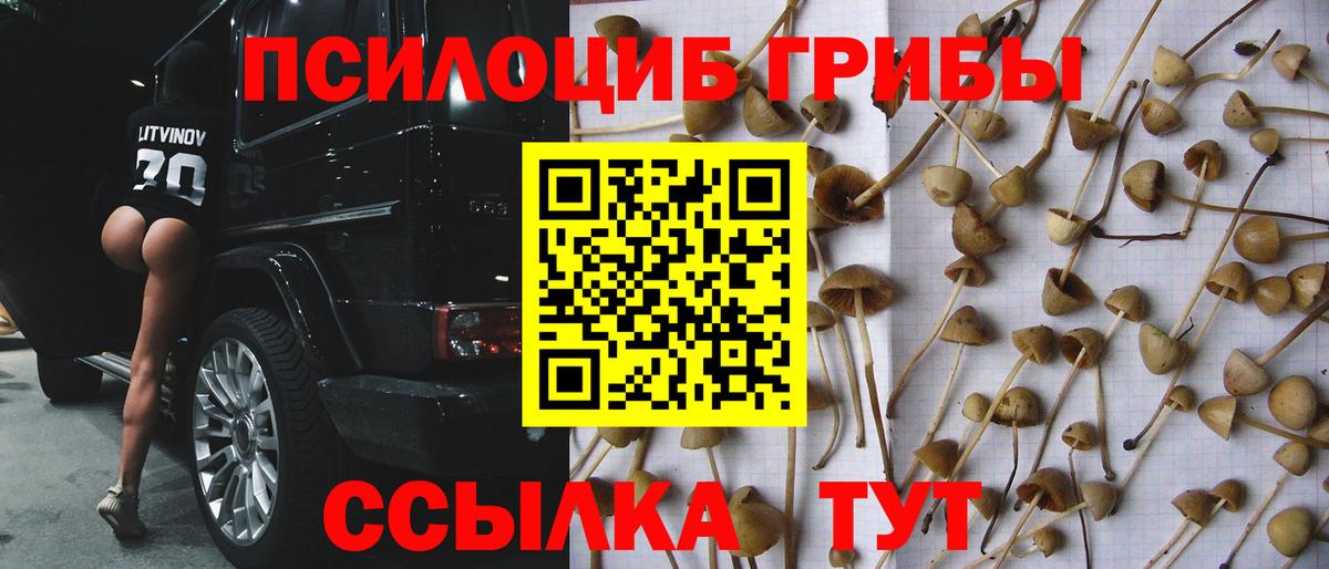 Невинномысск  Галлюциногенные грибы Cubensis  Псилоцибиновые грибы ЛСД  Вход с VPN 